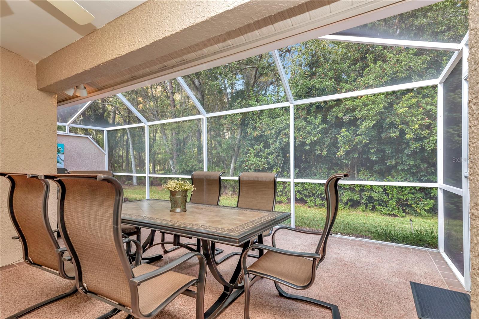 3825 DARSTON ST, PALM HARBOR, FL, 34685