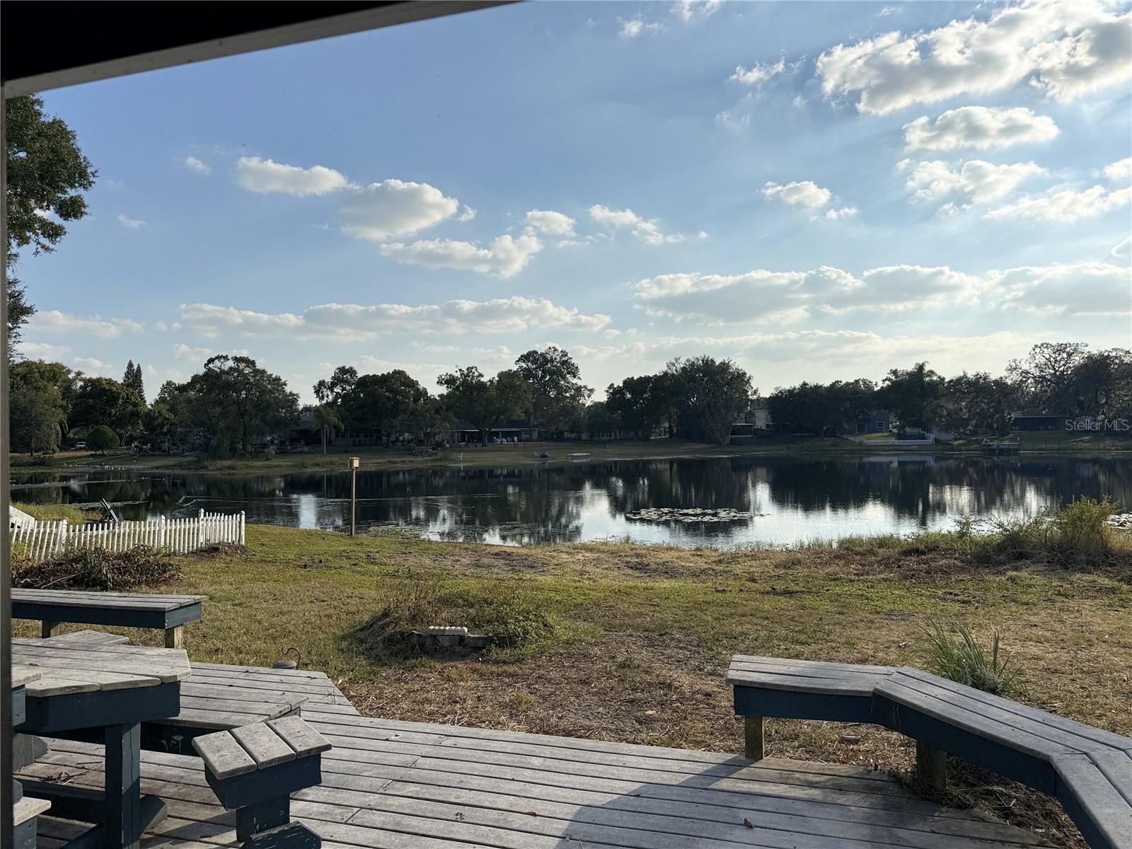 12510 FOREST HILLS DR, TAMPA, FL, 33612