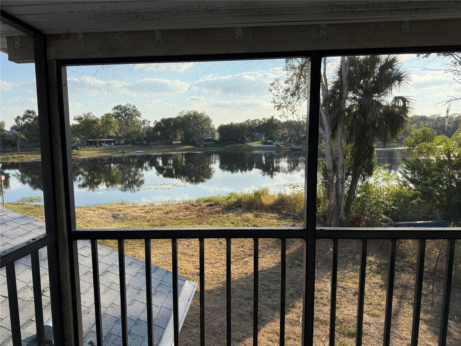 12510 FOREST HILLS DR, TAMPA, FL, 33612