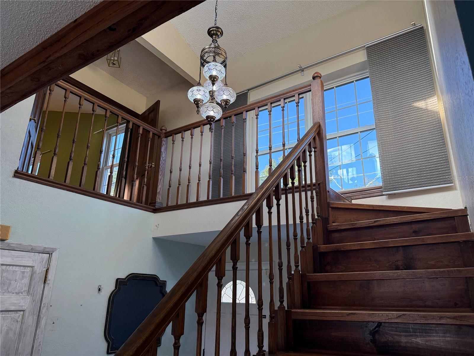 12510 FOREST HILLS DR, TAMPA, FL, 33612