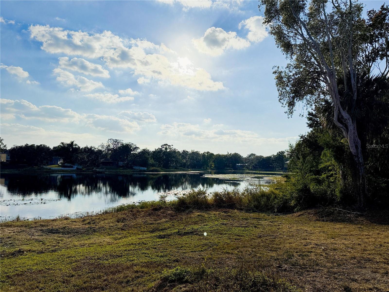 12510 FOREST HILLS DR, TAMPA, FL, 33612