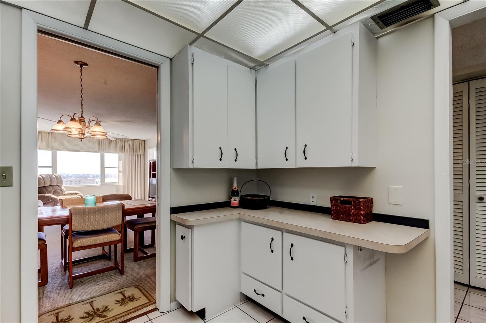 4775 COVE CIR #1008, ST PETERSBURG, FL, 33708