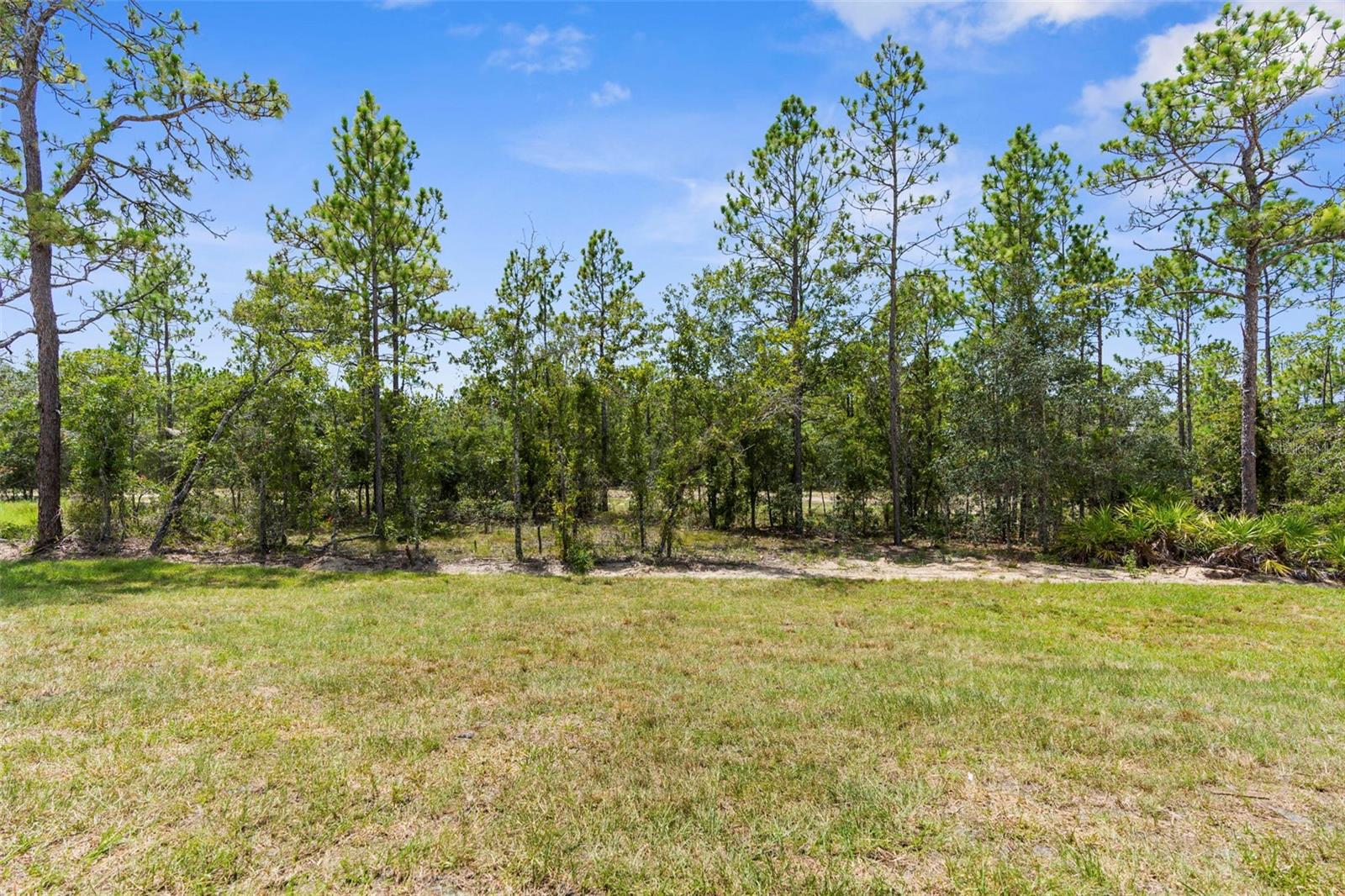 11072 HORNED OWL RD, WEEKI WACHEE, FL, 34614
