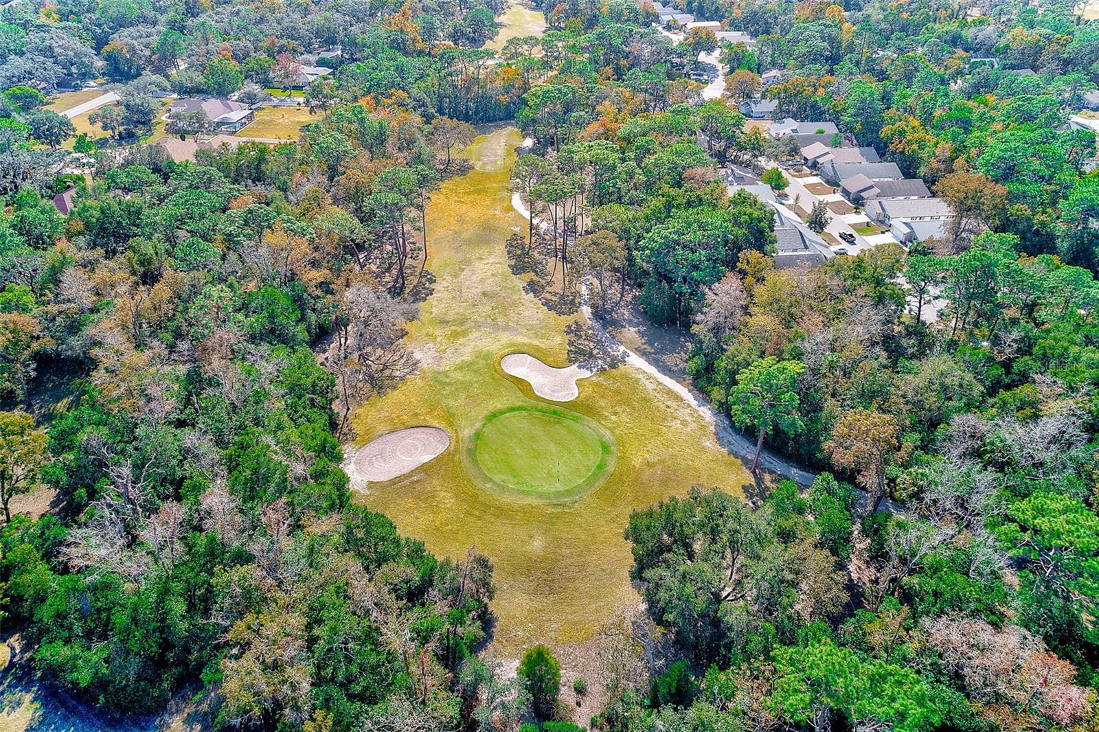 30 LEMINGTON CT, HOMOSASSA, FL, 34446