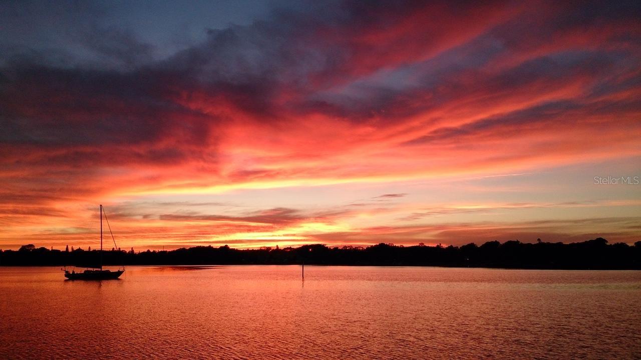 2305 W TEXAS AVE #4, TAMPA, FL, 33629