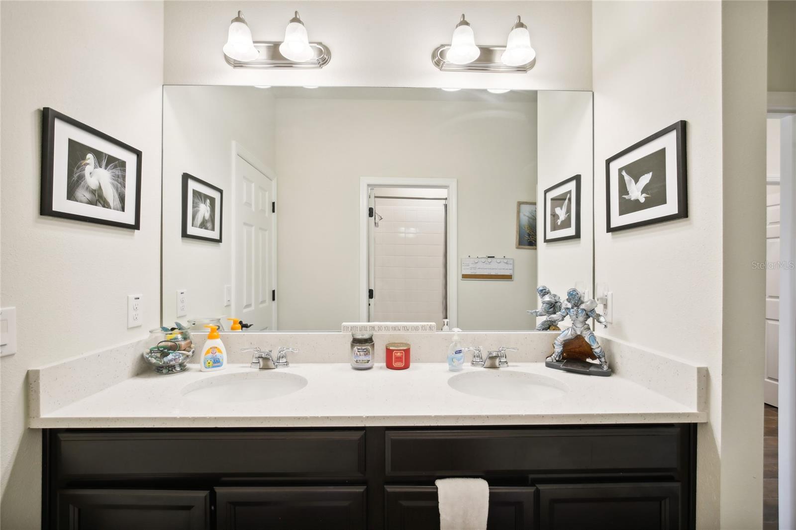 6240 SEA AIR DR, APOLLO BEACH, FL, 33572