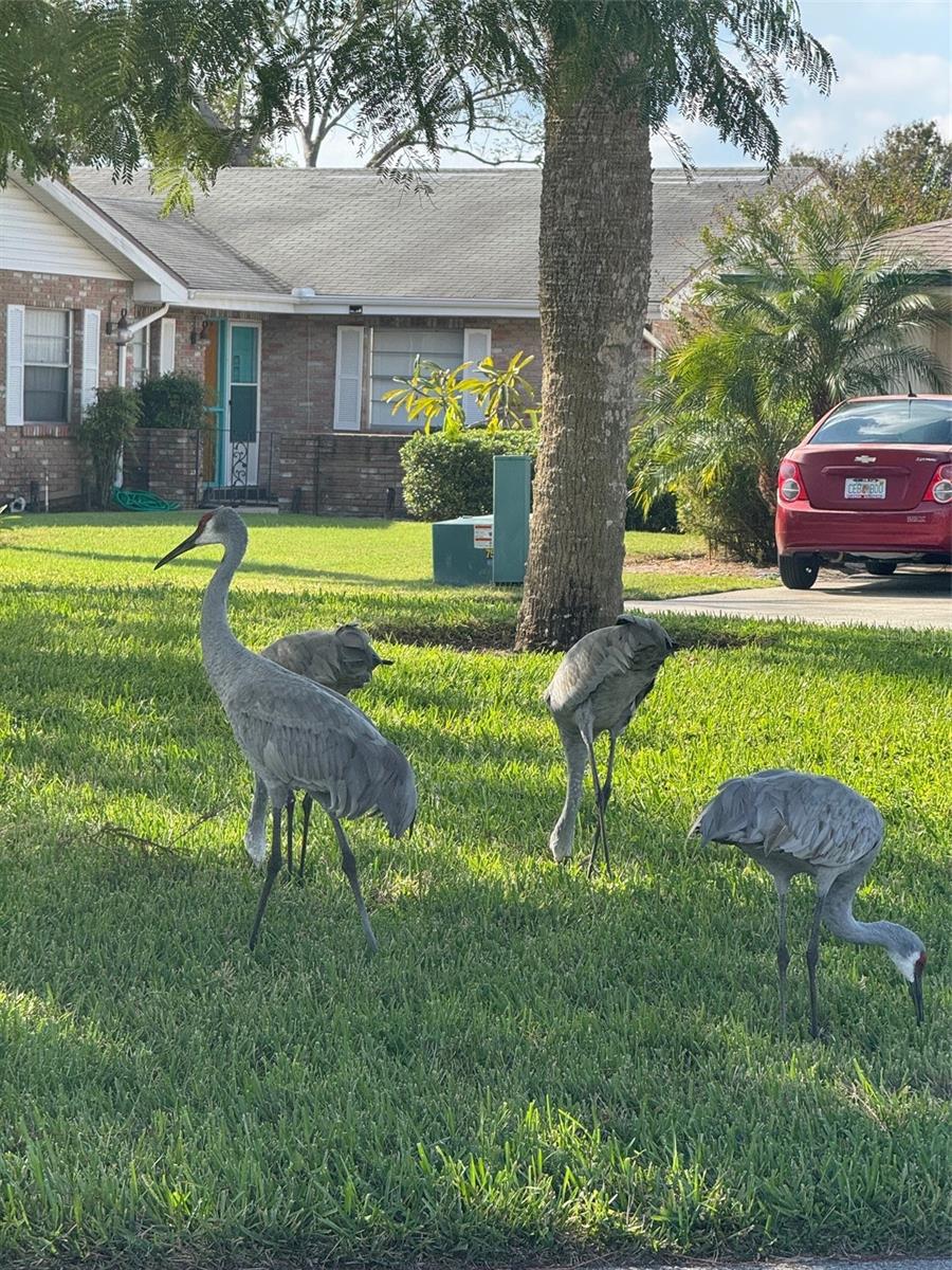 426 GLENEAGLES CT, WINTER HAVEN, FL, 33884