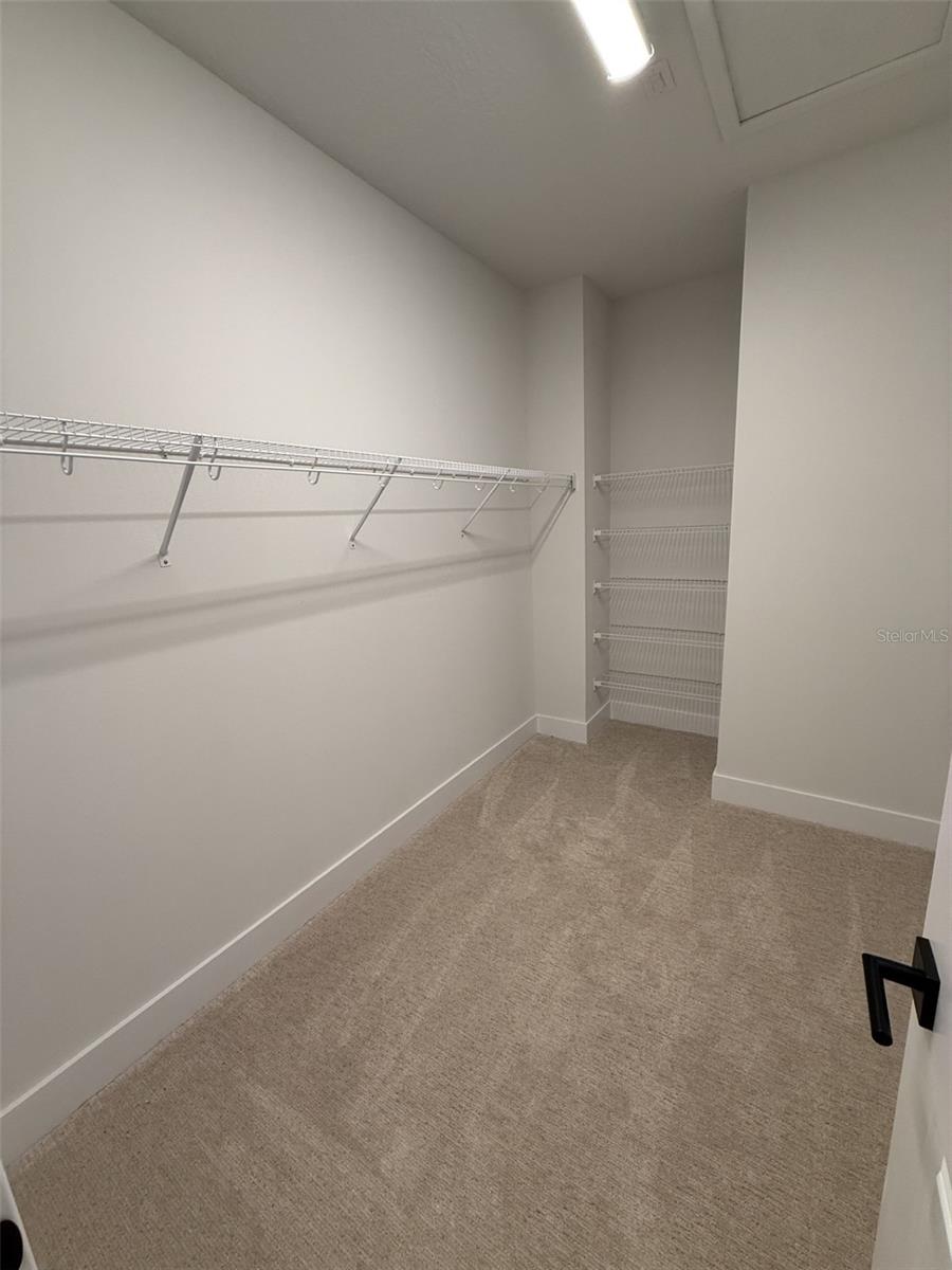 6605 N NEBRASKA AVE #10, TAMPA, FL, 33604