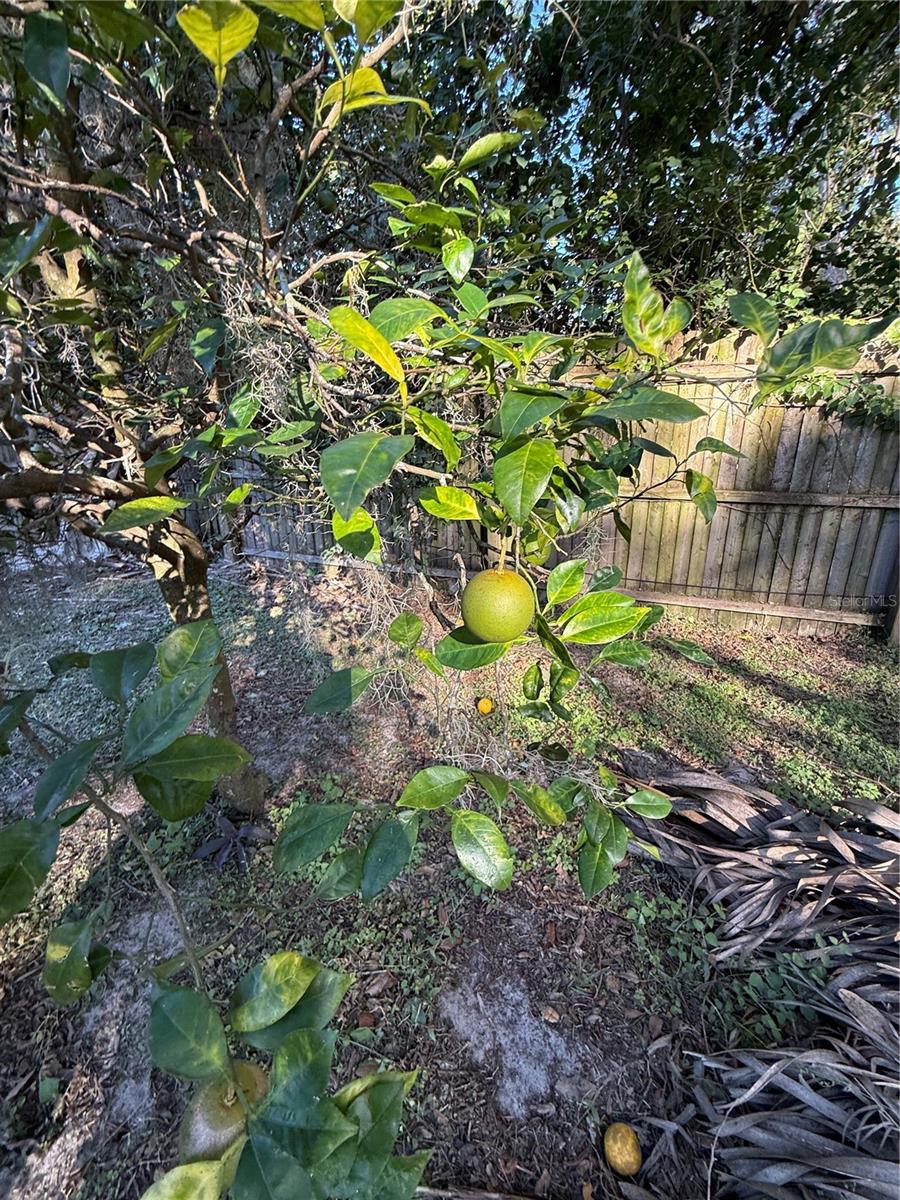 6416 LAKE HORSESHOE DR, ORLANDO, FL, 32818