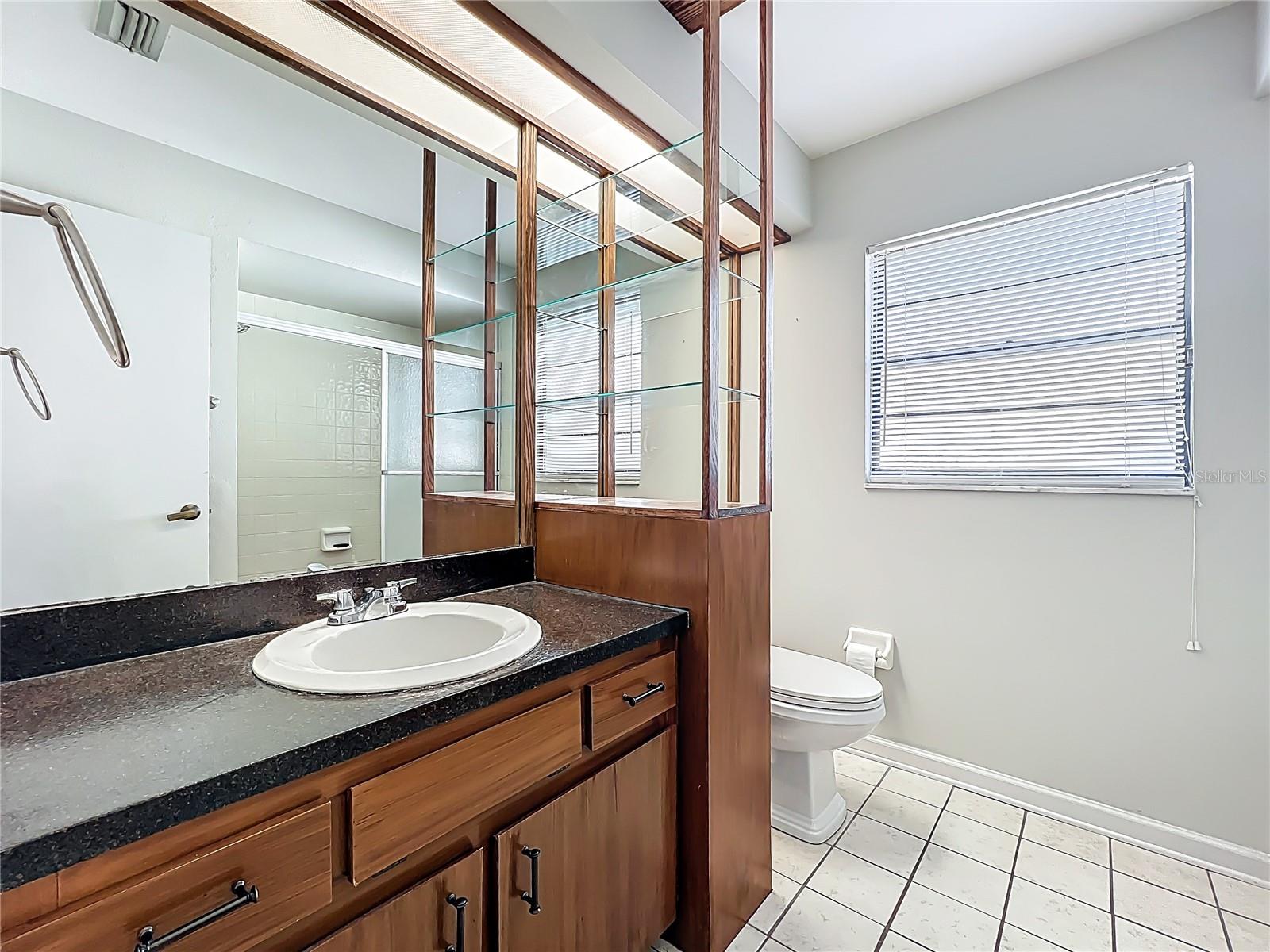 1623 CARTER OAKS DR, VALRICO, FL, 33596