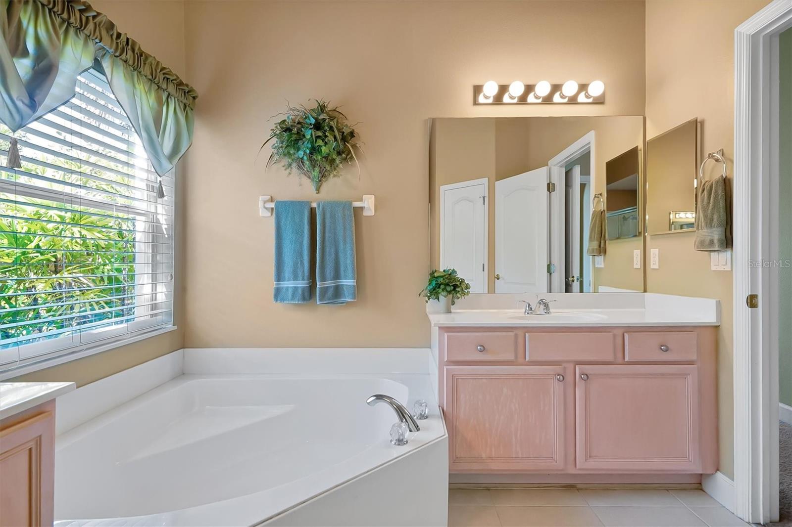 3504 SILVER THORN CT, OVIEDO, FL, 32766