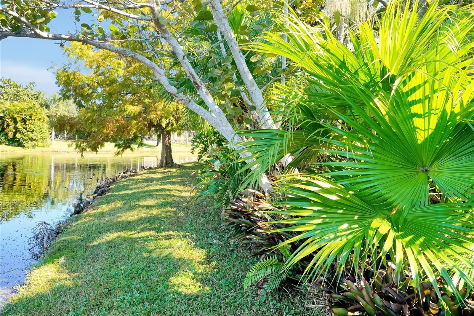 3504 SILVER THORN CT, OVIEDO, FL, 32766