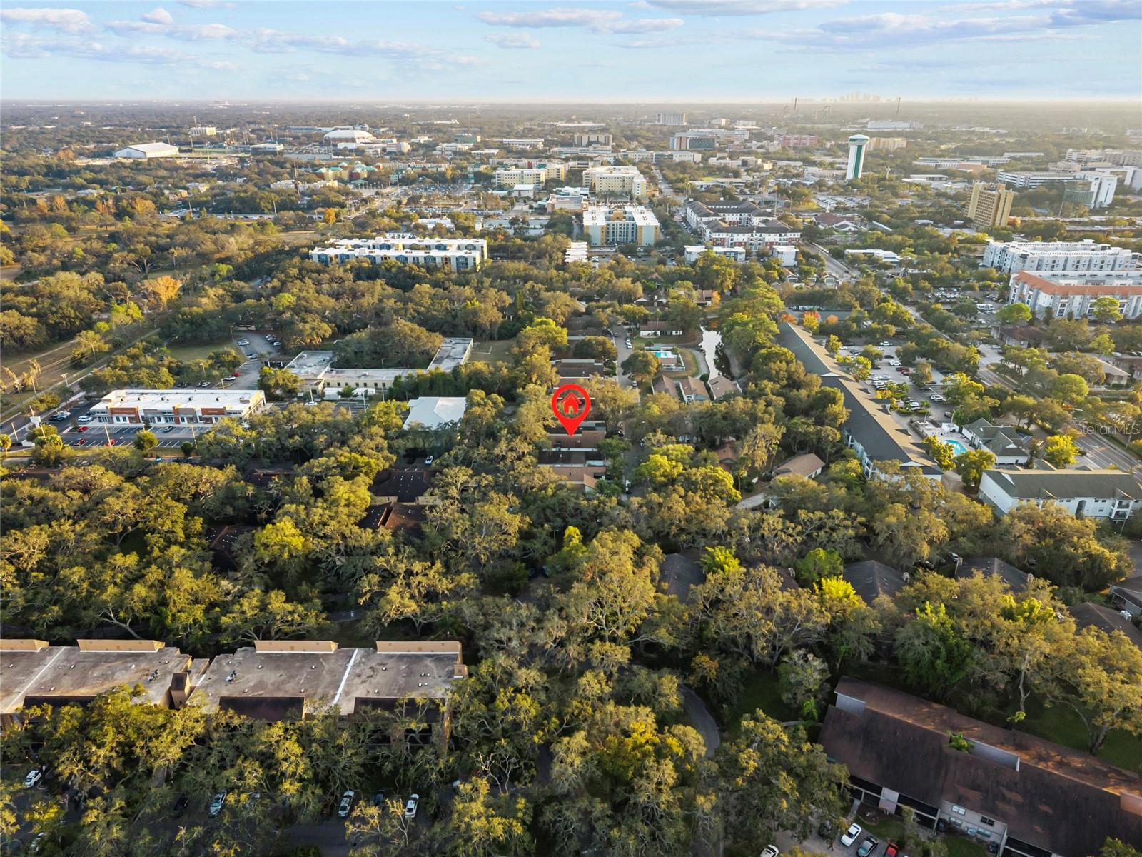 13905 LAZY OAK DR, TAMPA, FL, 33613