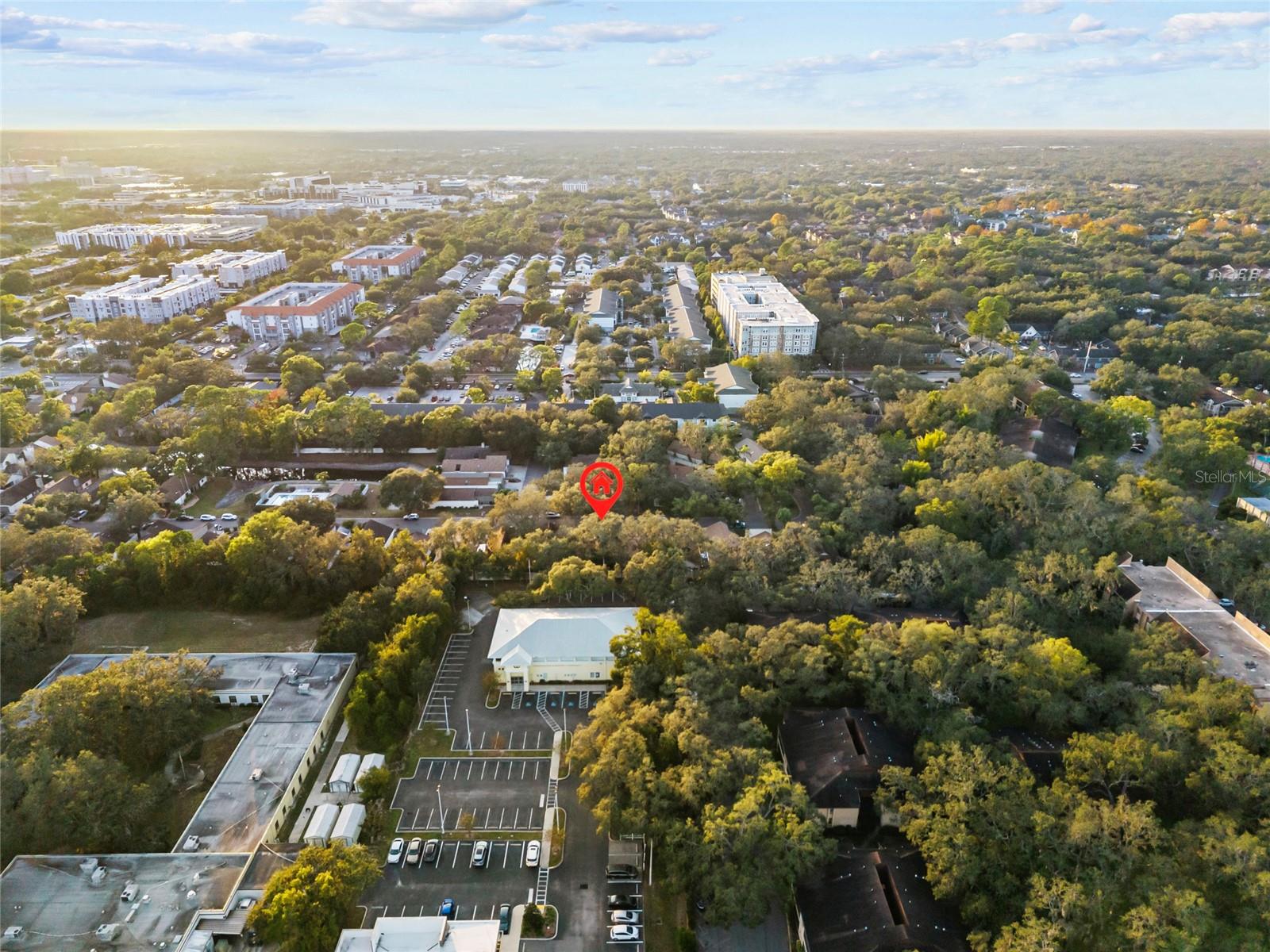 13905 LAZY OAK DR, TAMPA, FL, 33613