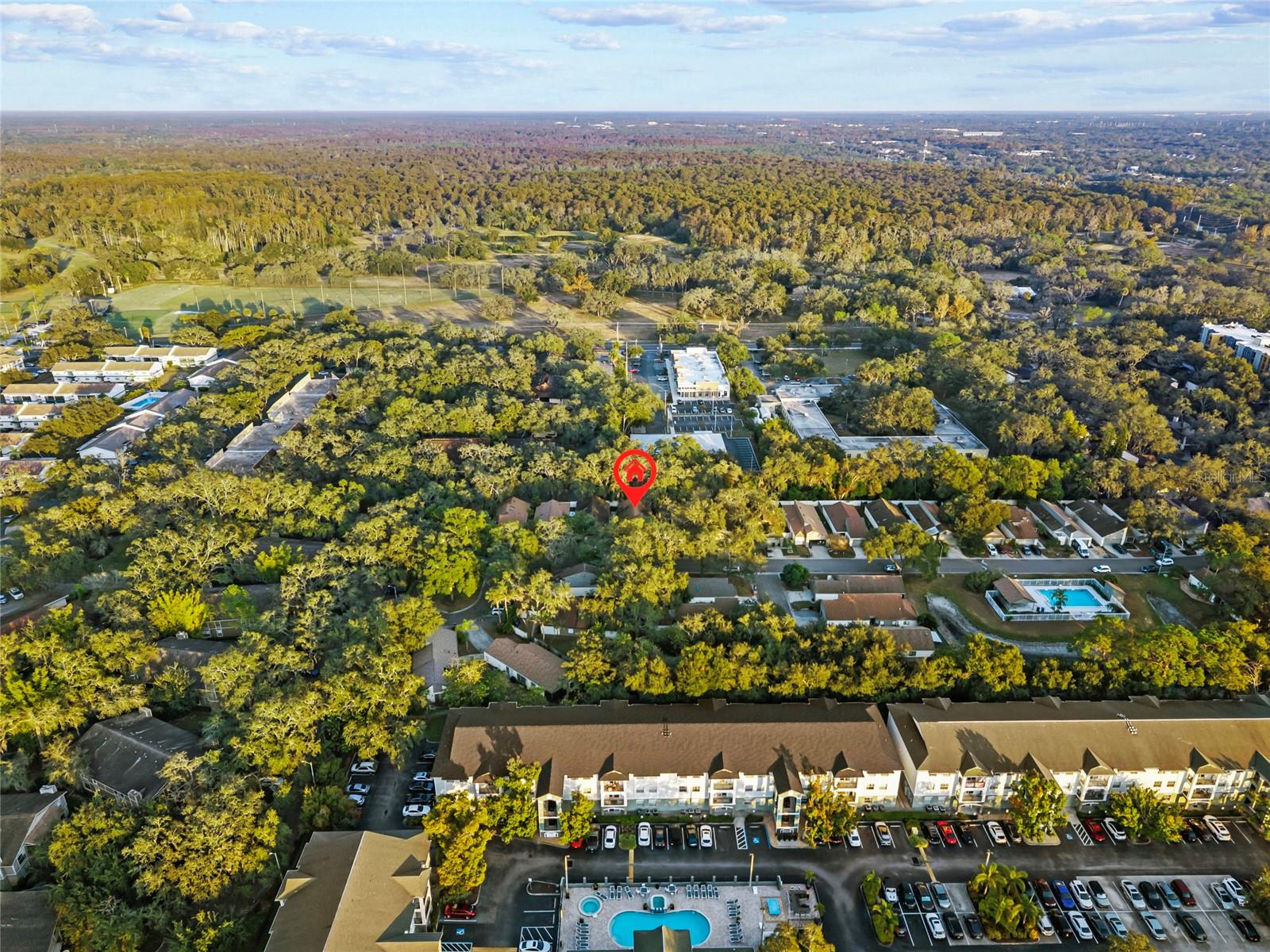 13905 LAZY OAK DR, TAMPA, FL, 33613