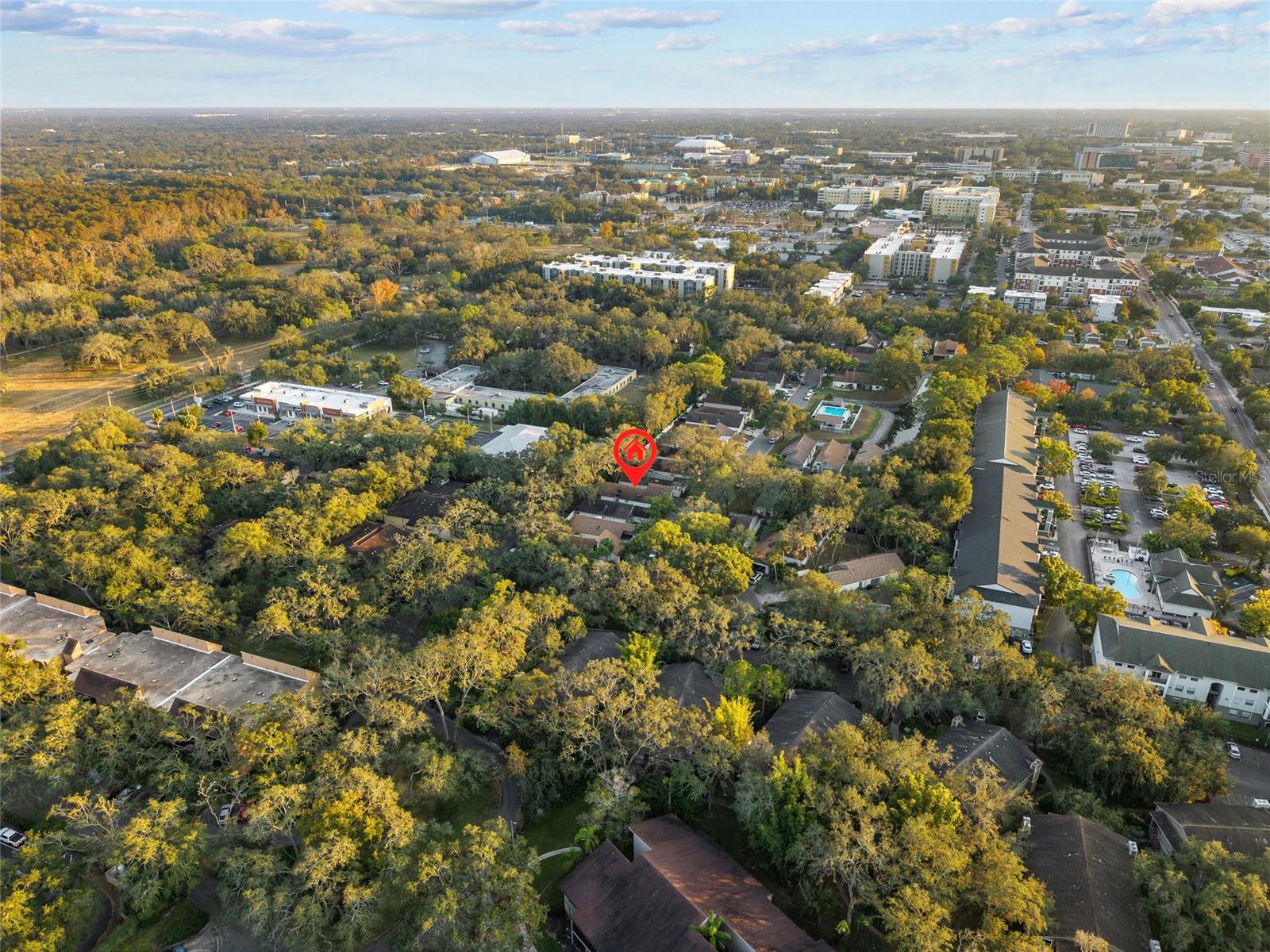 13905 LAZY OAK DR, TAMPA, FL, 33613