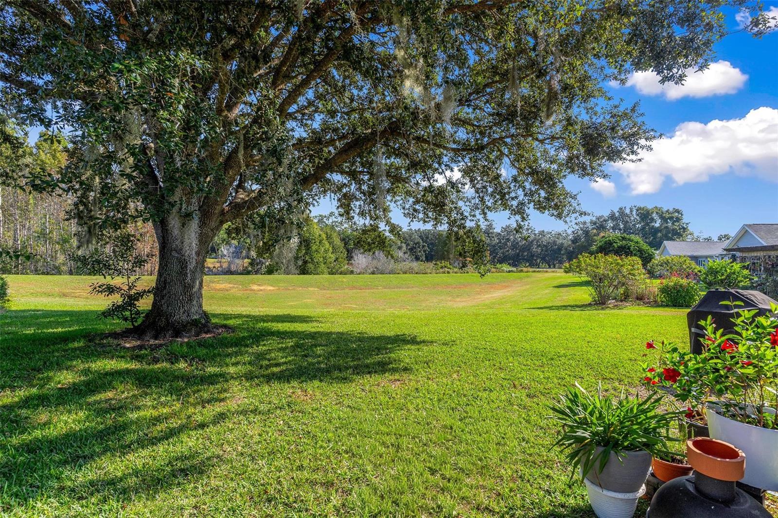 25440 CRESTWATER DR, LEESBURG, FL, 34748