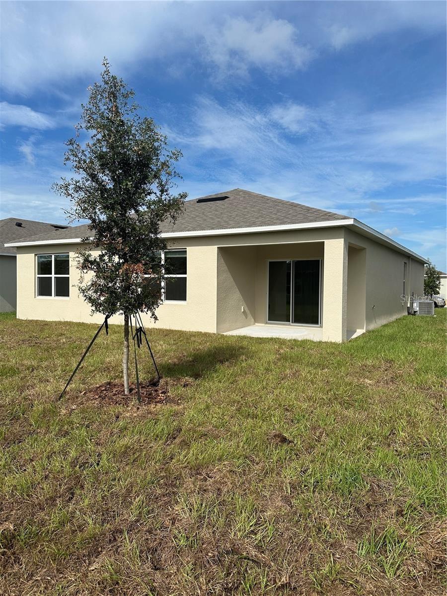 1433 PRINCESS TREE CT, HAINES CITY, FL, 33844