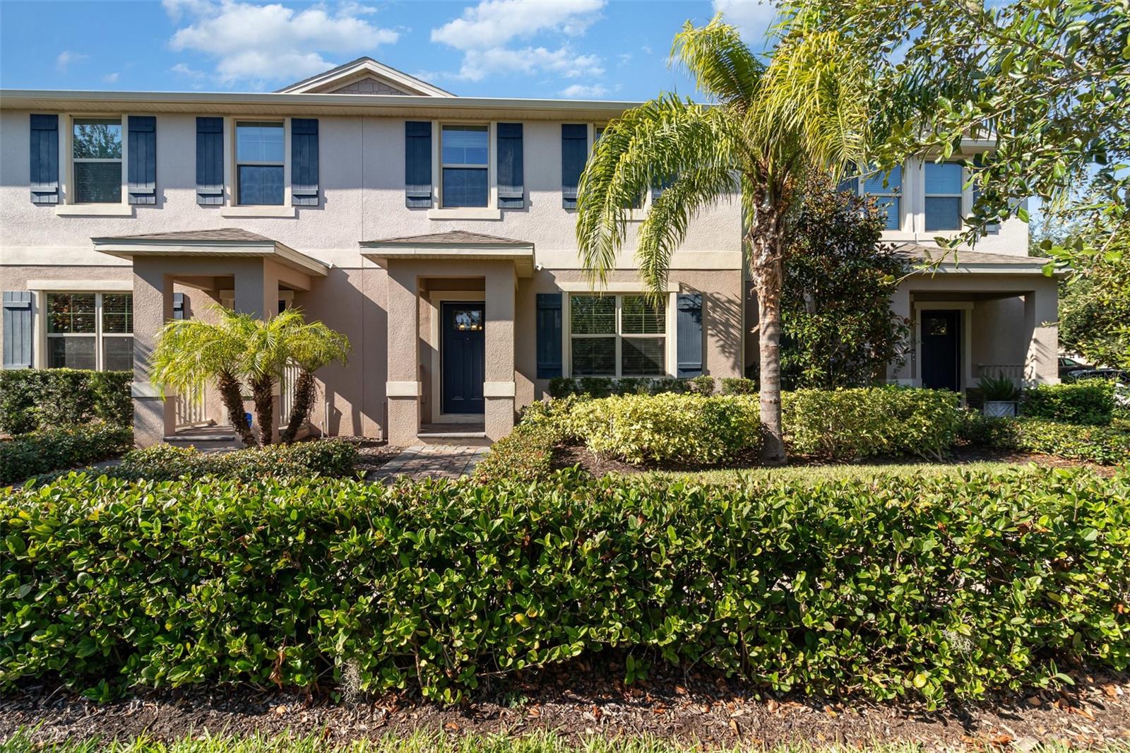 16512 BROOK SPRINGS ALY, WINTER GARDEN, FL, 34787