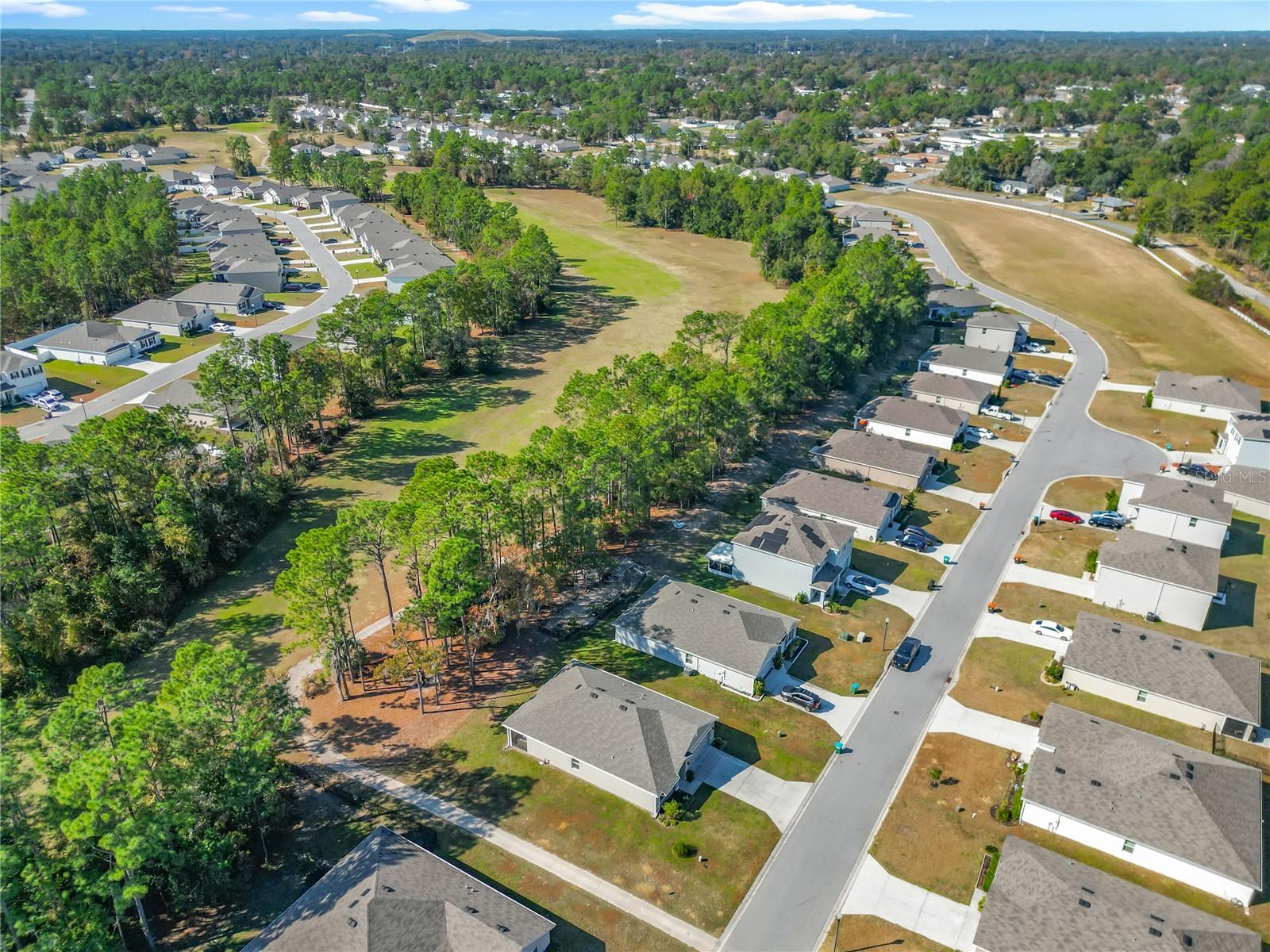 80 HICKORY COURSE LOOP, OCALA, FL, 34472