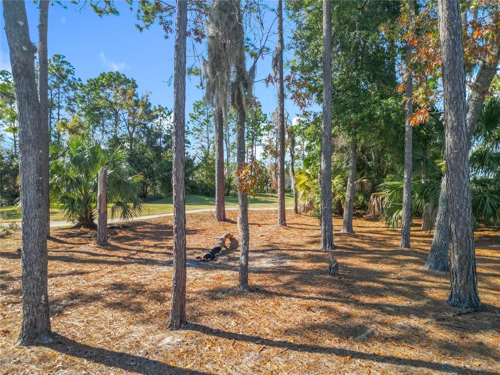 80 HICKORY COURSE LOOP, OCALA, FL, 34472