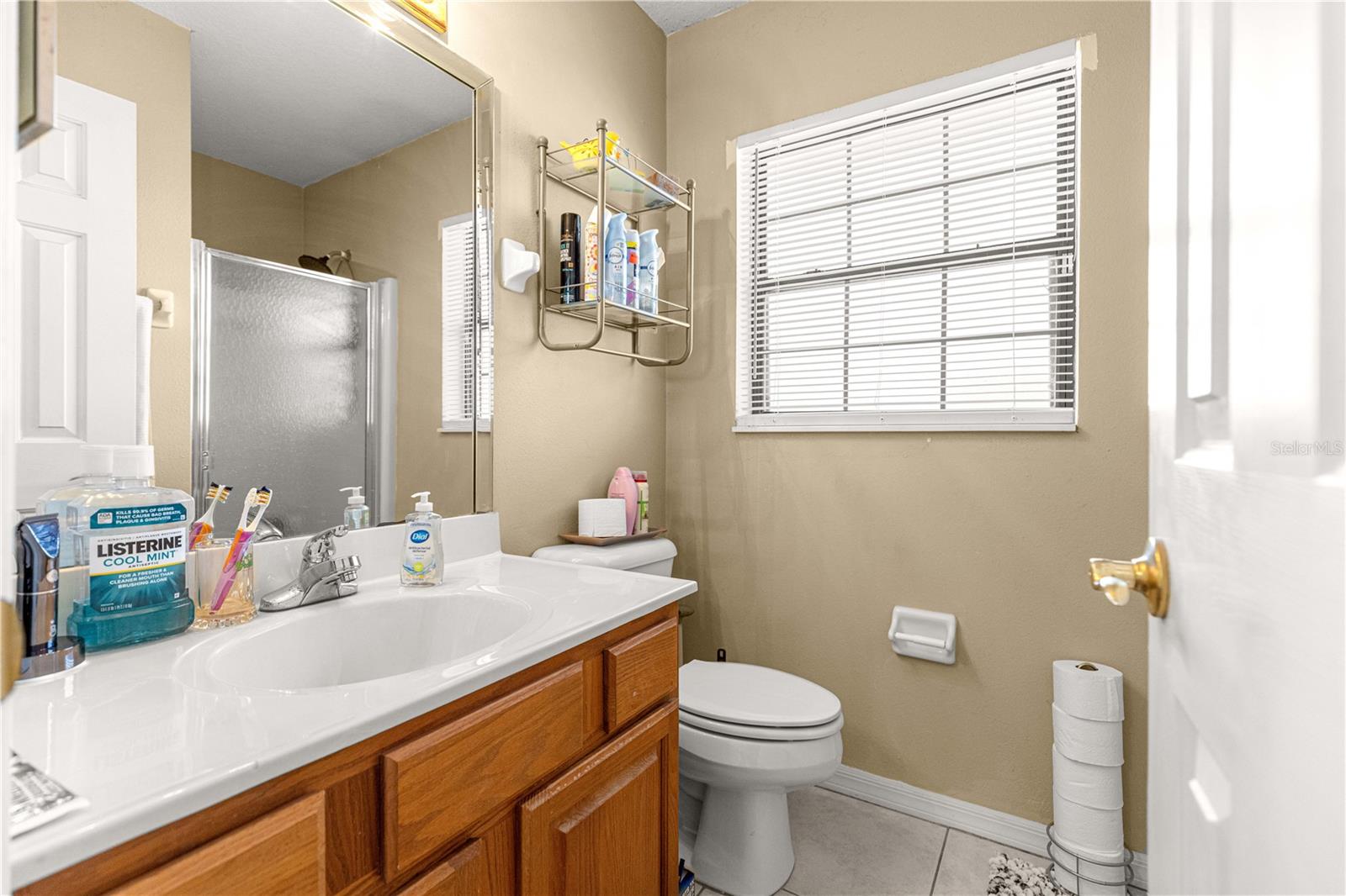 9670 SE 143RD ST, SUMMERFIELD, FL, 34491