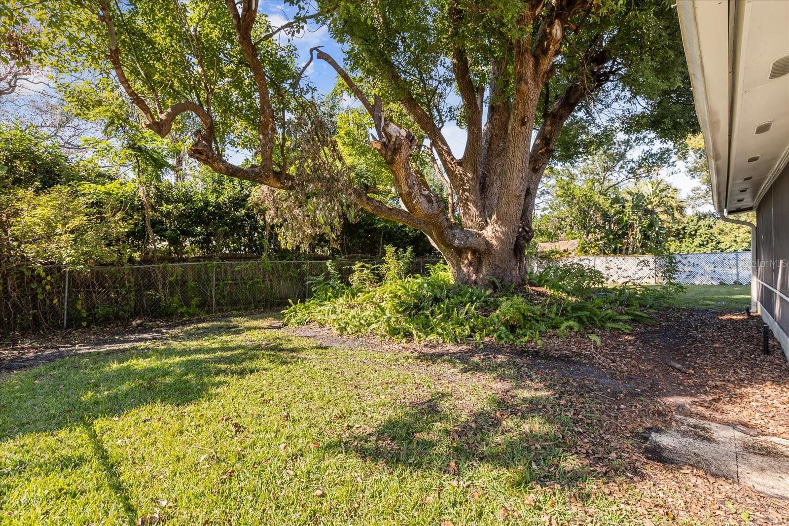 801 ELLENDALE DR, WINTER PARK, FL, 32792