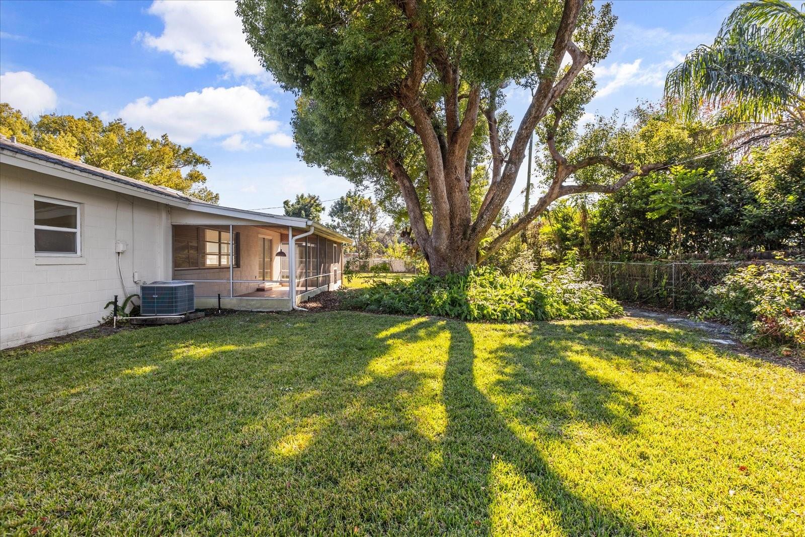 801 ELLENDALE DR, WINTER PARK, FL, 32792