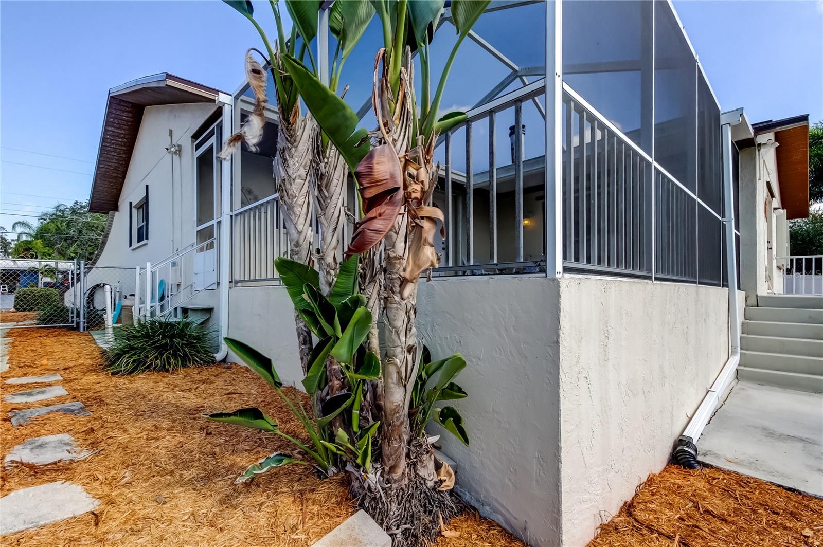 212 WESTWINDS DR, PALM HARBOR, FL, 34683