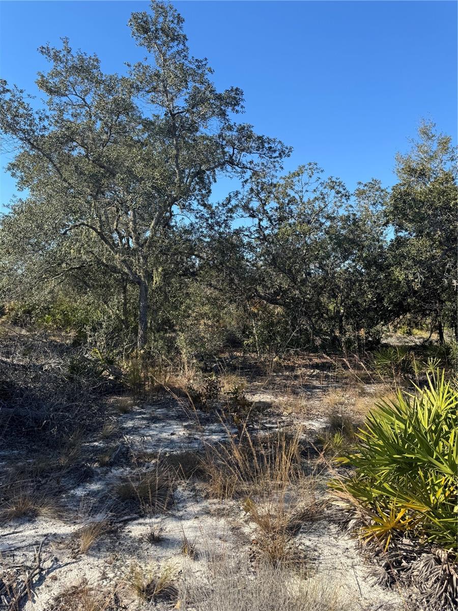 NE 123RD CT, ARCHER, FL, 32618