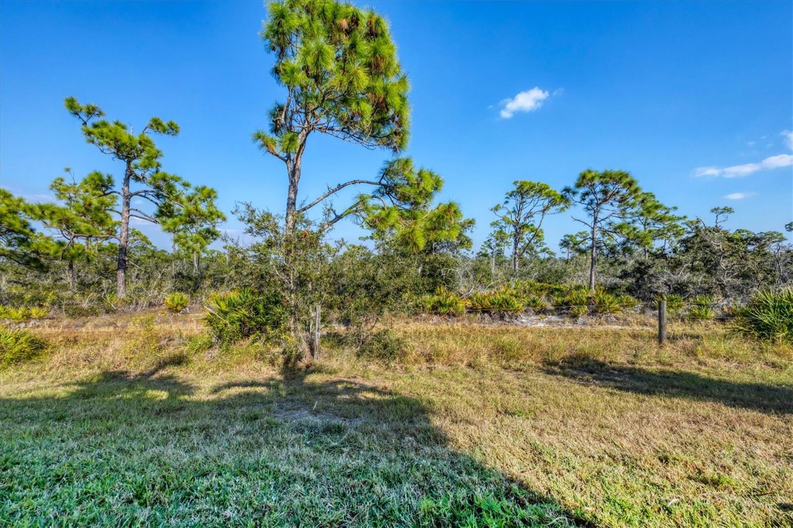 8920 CONCH AVE, PLACIDA, FL, 33946