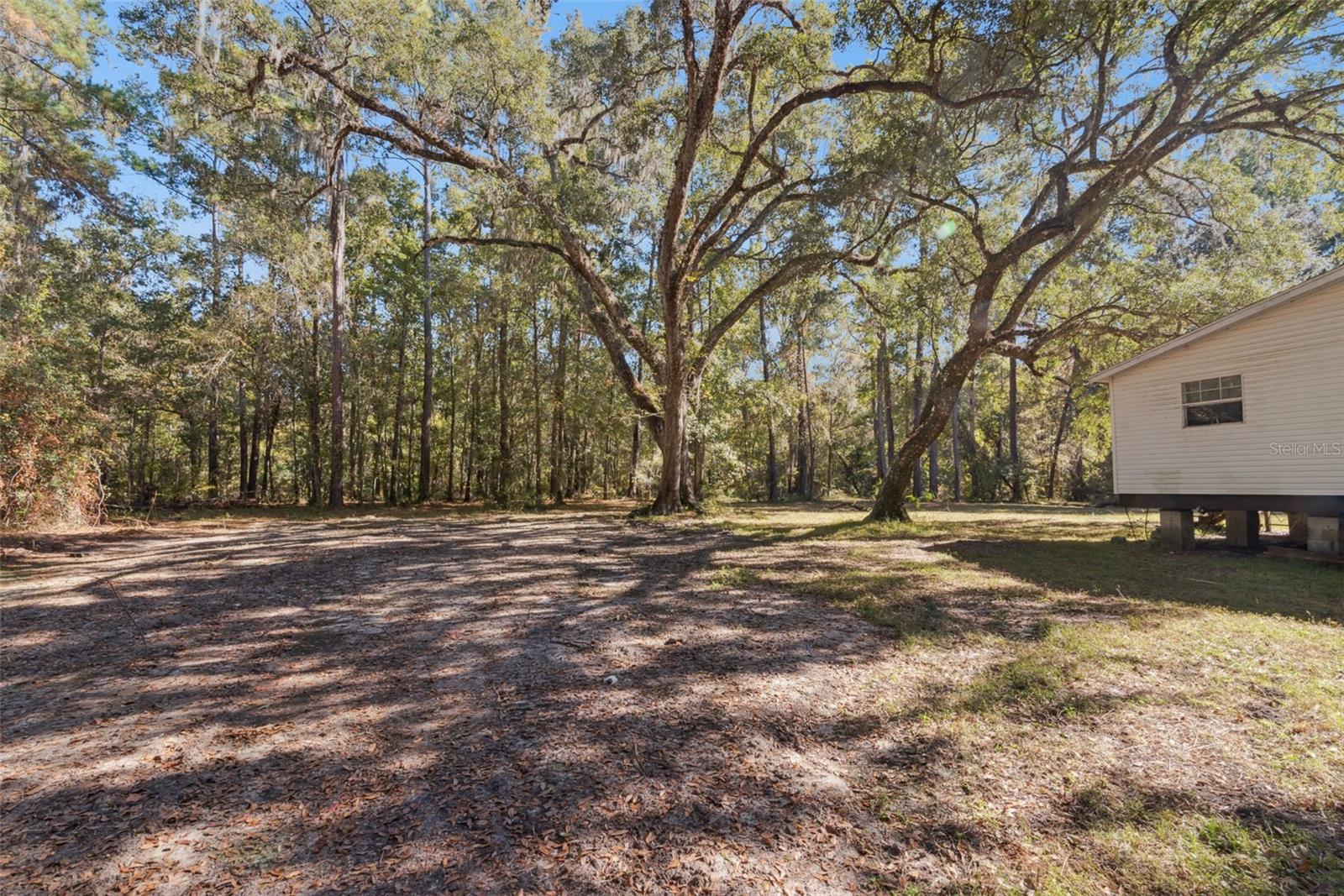 17039 N HIGHWAY 329, REDDICK, FL, 32686