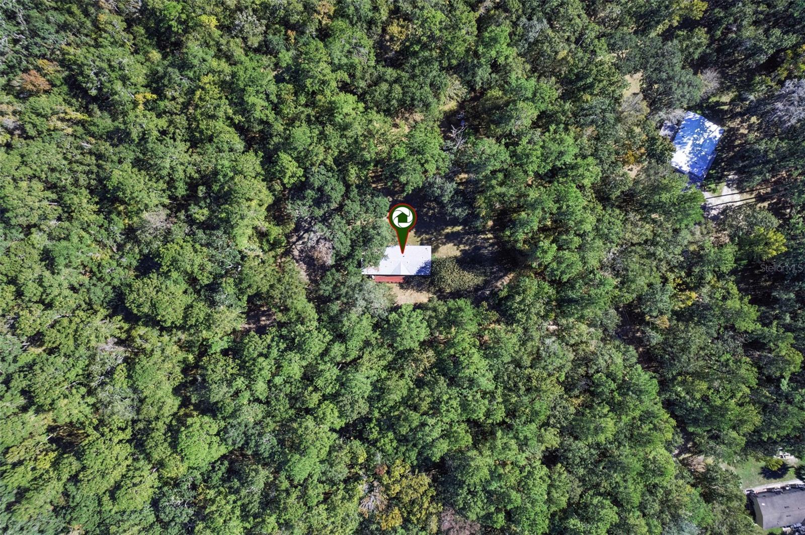 17039 N HIGHWAY 329, REDDICK, FL, 32686