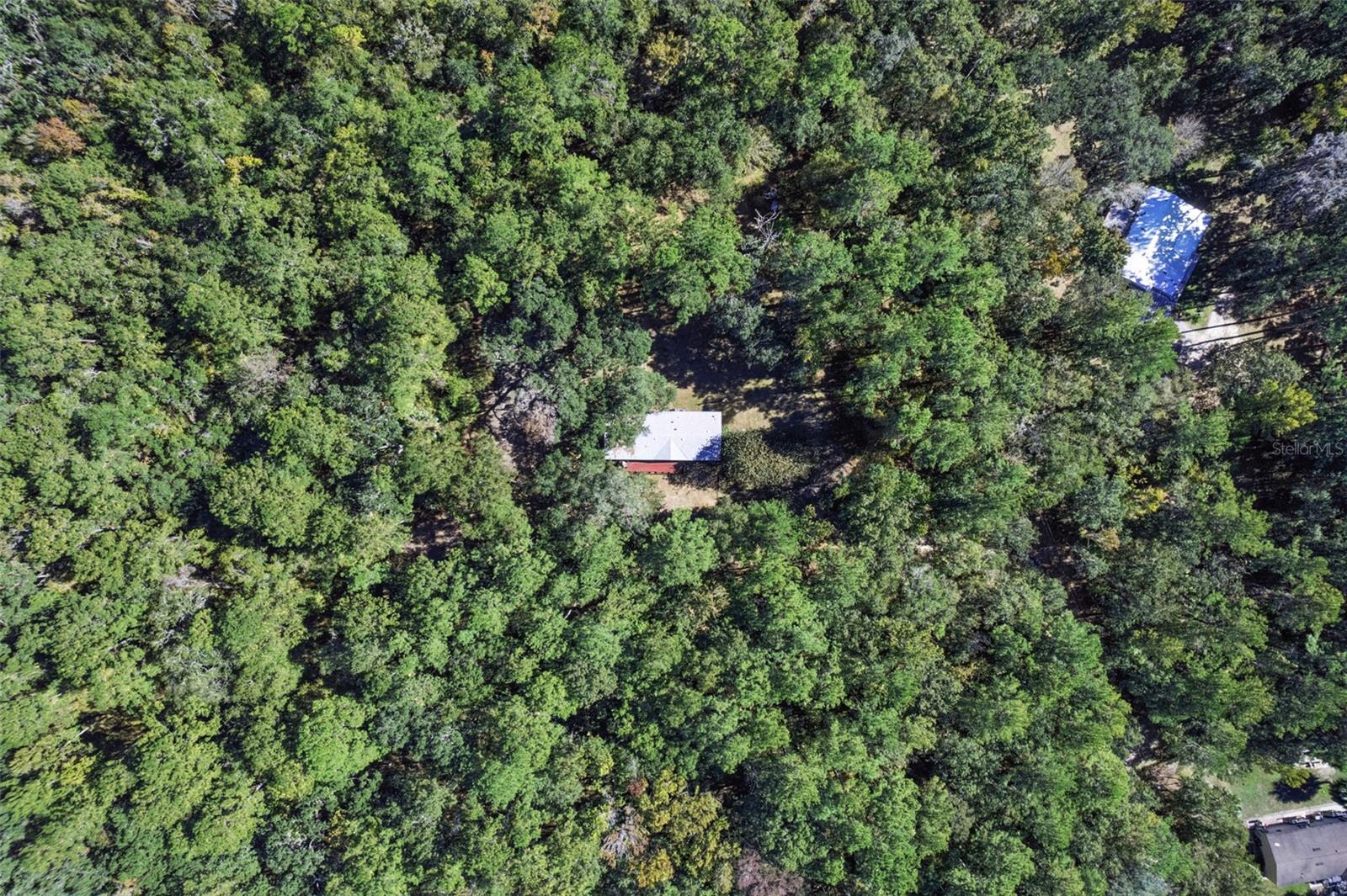 17039 N HIGHWAY 329, REDDICK, FL, 32686