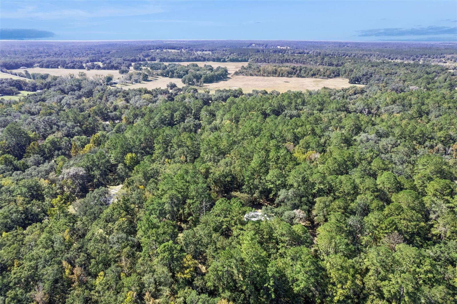 17039 N HIGHWAY 329, REDDICK, FL, 32686