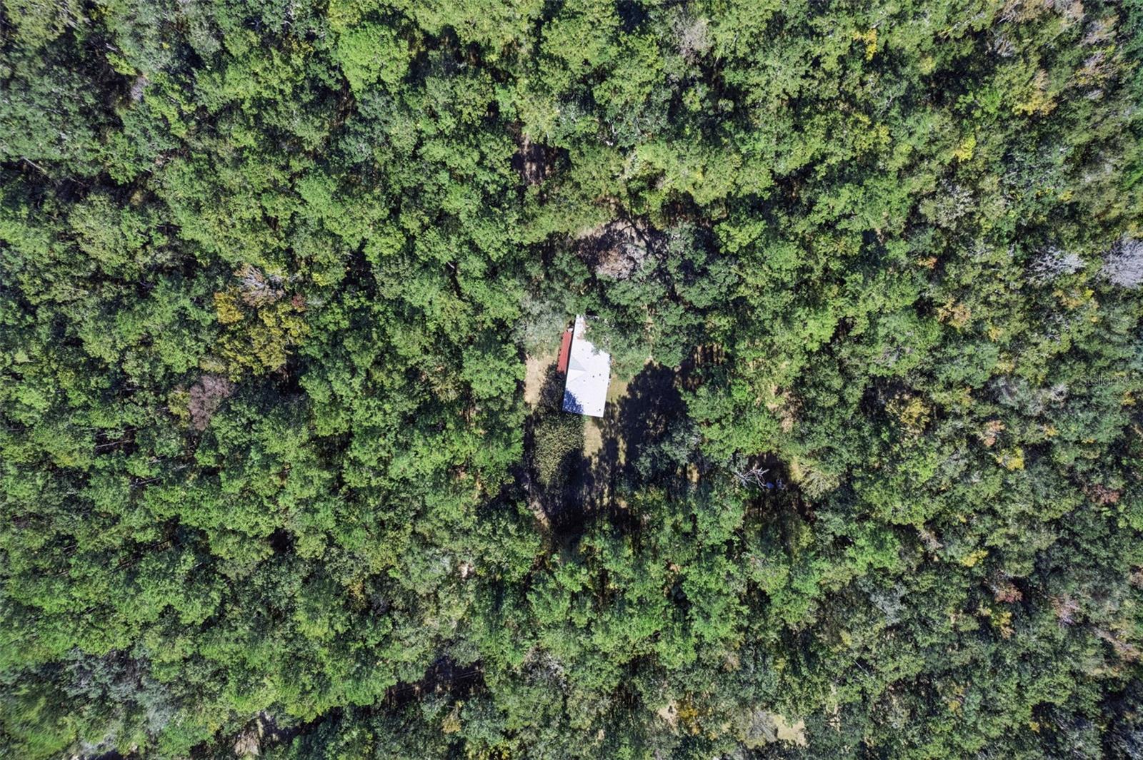 17039 N HIGHWAY 329, REDDICK, FL, 32686