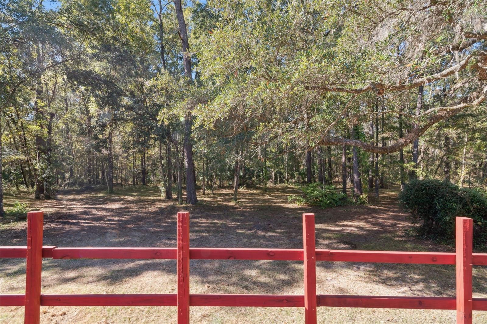 17039 N HIGHWAY 329, REDDICK, FL, 32686