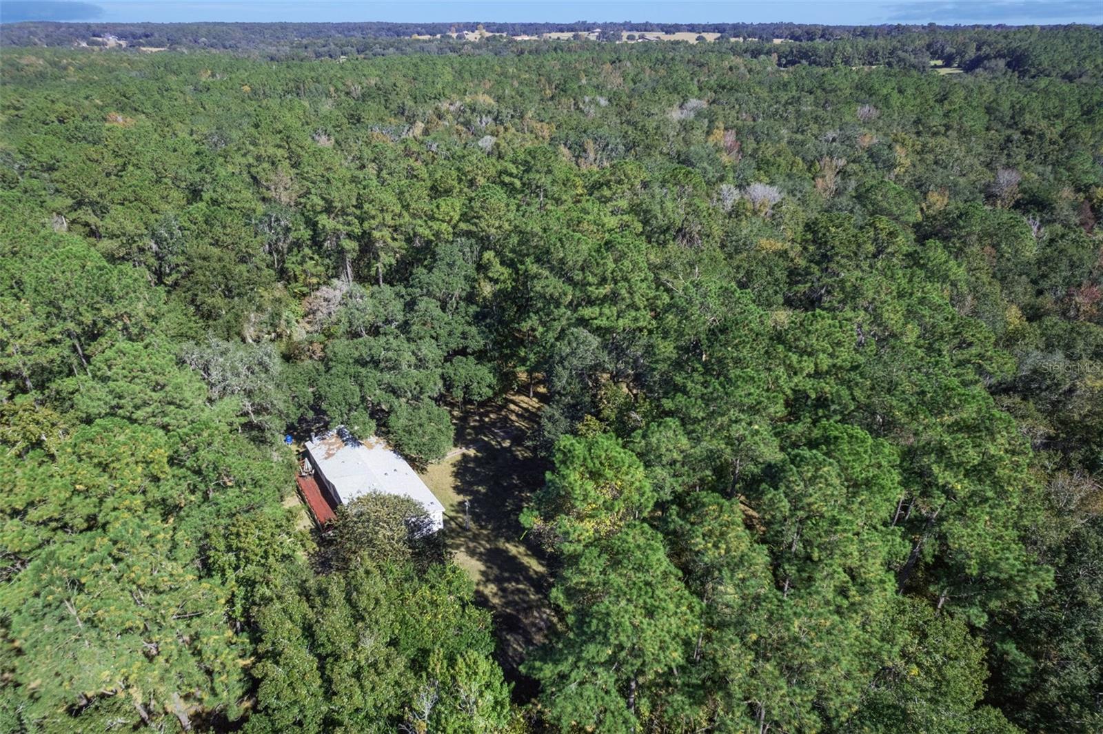 17039 N HIGHWAY 329, REDDICK, FL, 32686