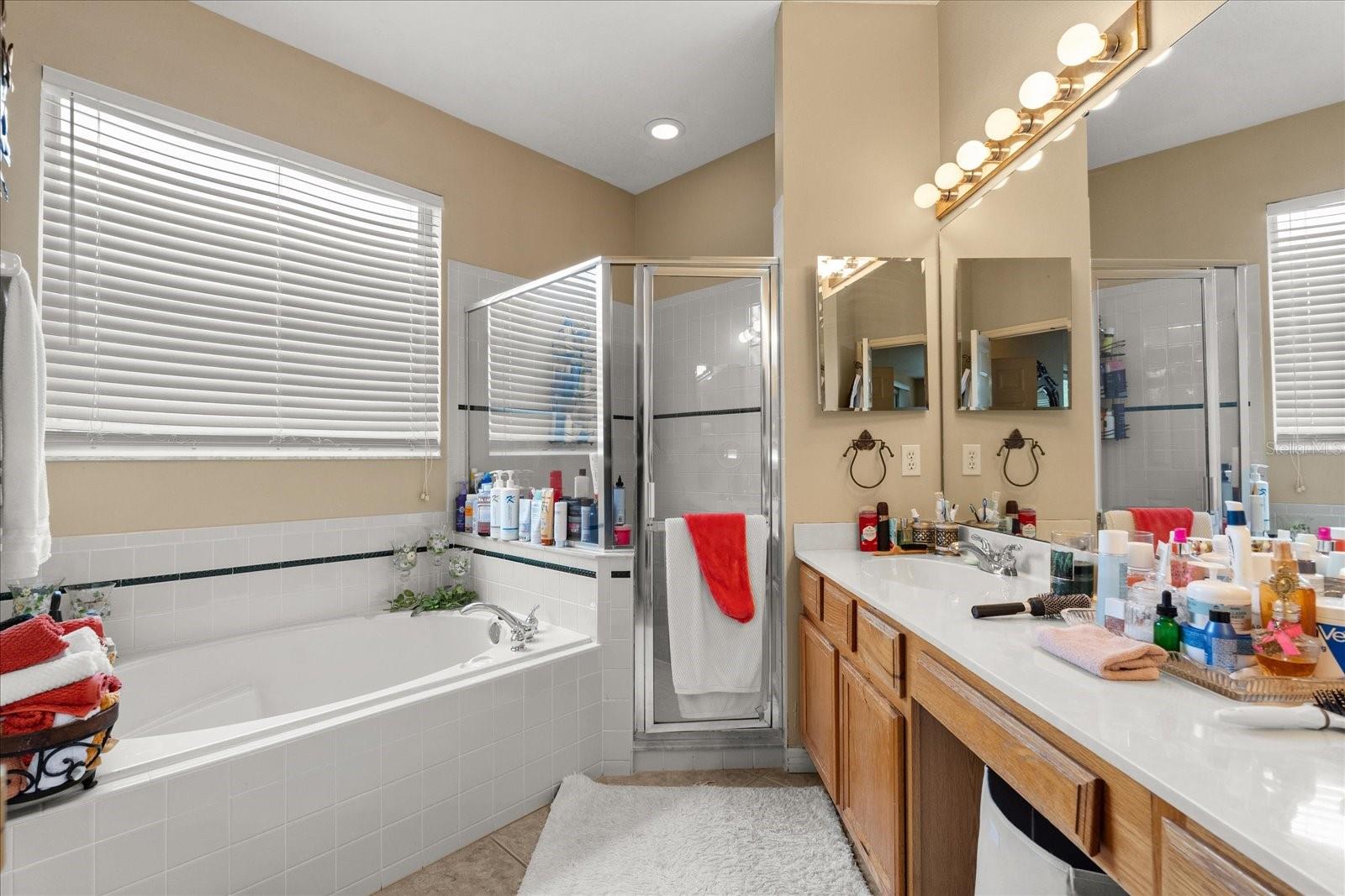 13609 SKY BLUE CT, ORLANDO, FL, 32828