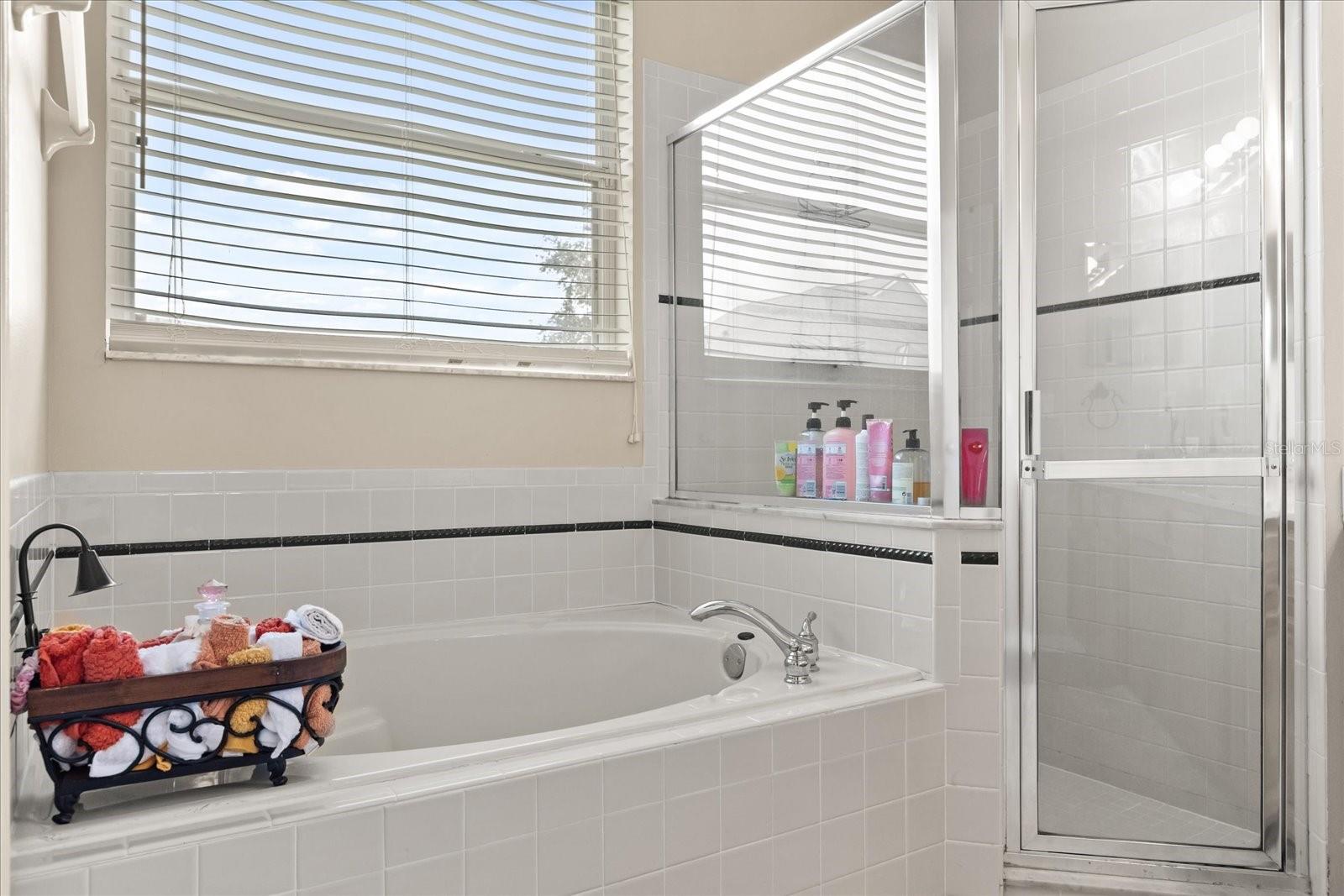 13609 SKY BLUE CT, ORLANDO, FL, 32828