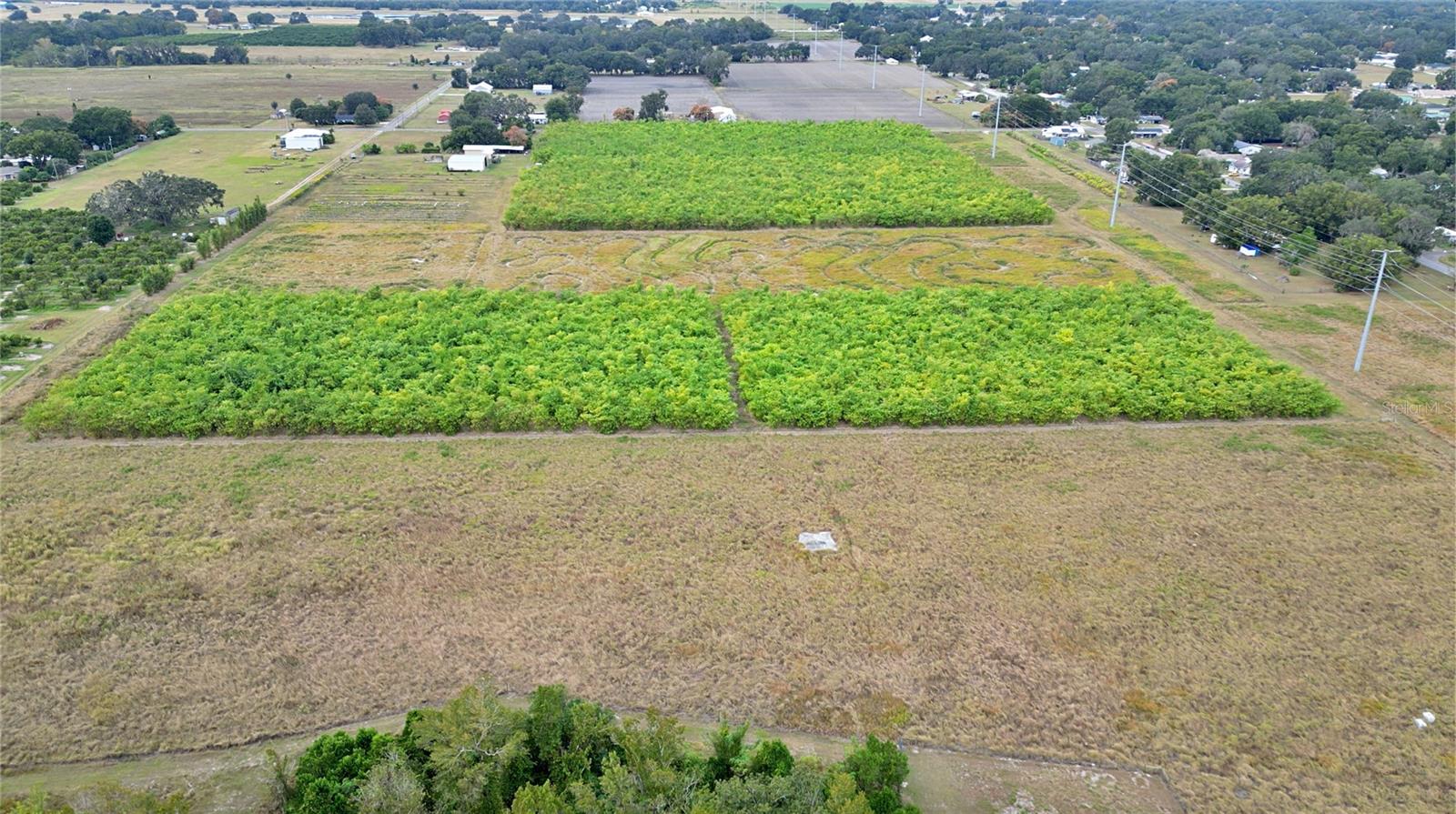 1015 MOUNT PISGAH RD, FORT MEADE, FL, 33841