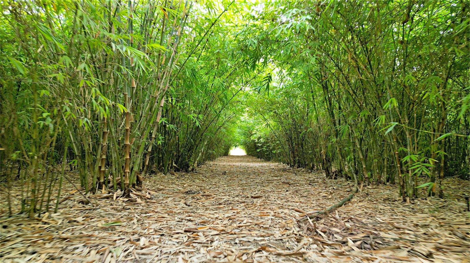 1015 MOUNT PISGAH RD, FORT MEADE, FL, 33841