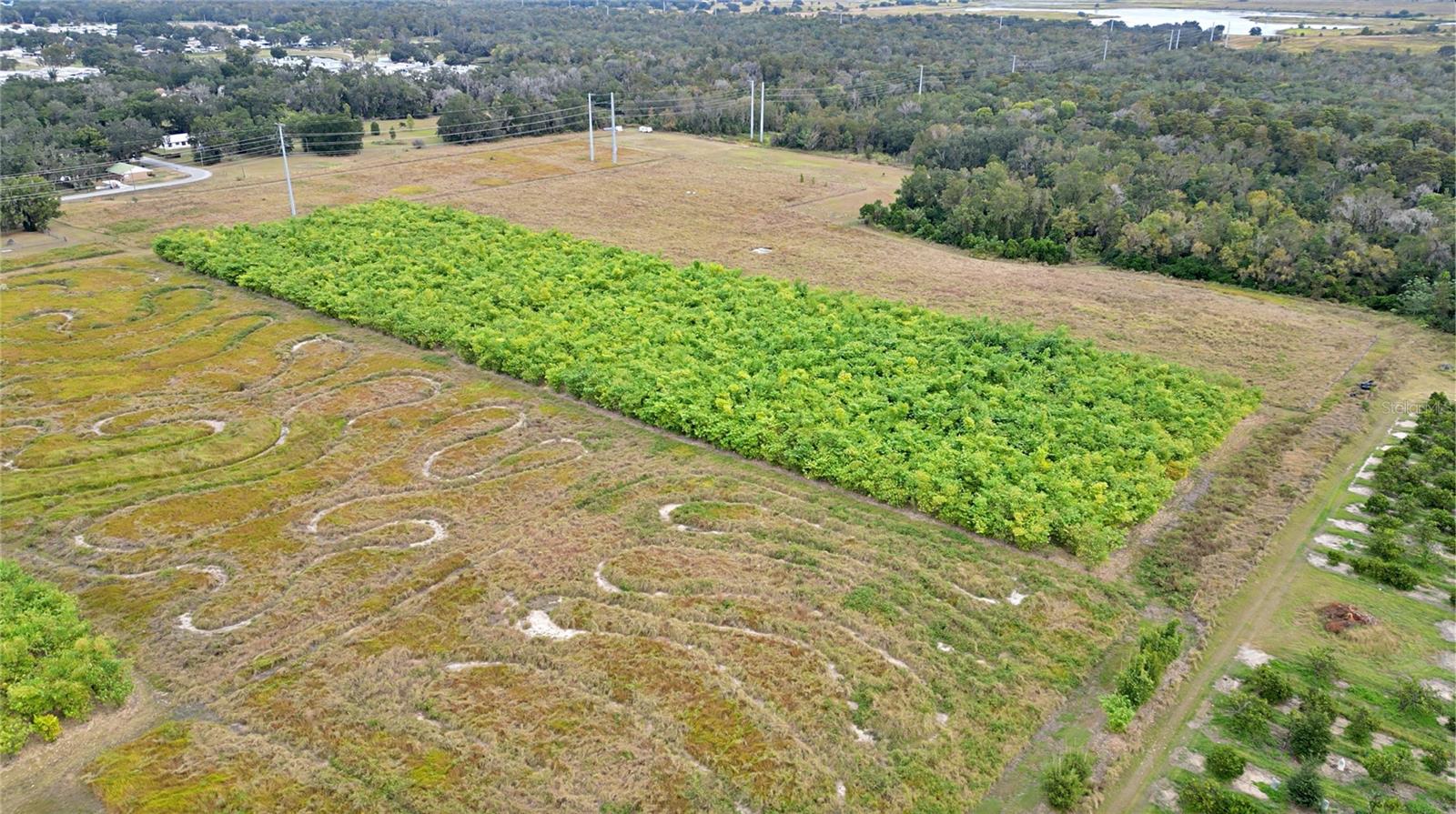 1015 MOUNT PISGAH RD, FORT MEADE, FL, 33841