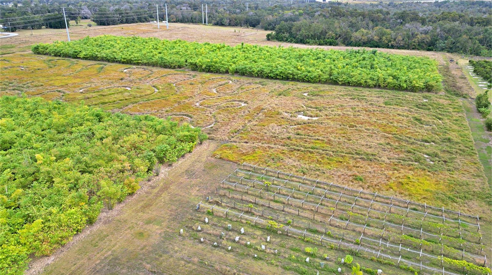 1015 MOUNT PISGAH RD, FORT MEADE, FL, 33841