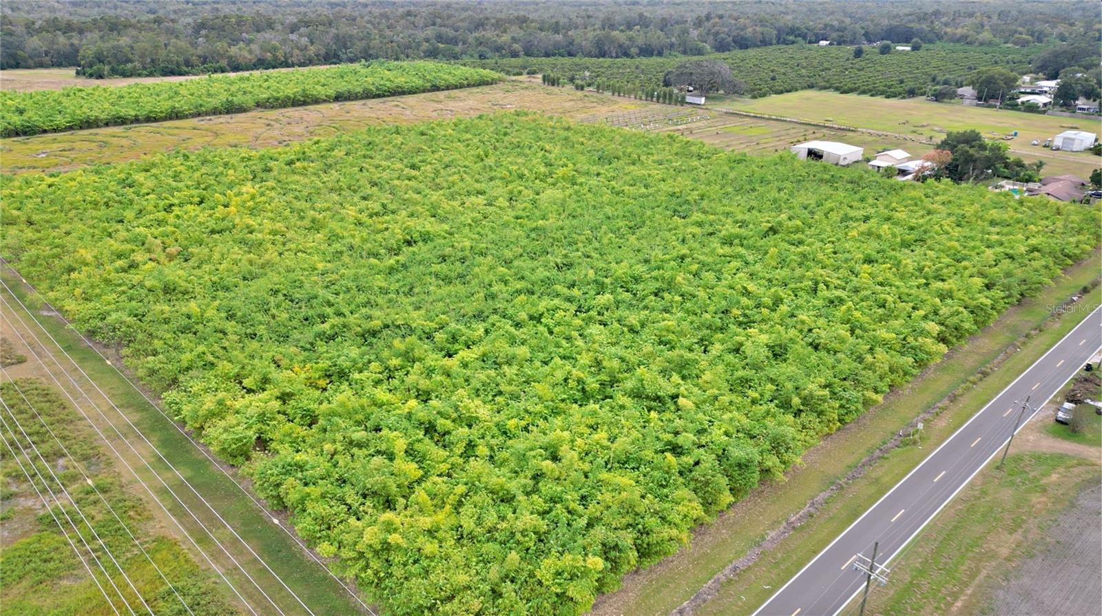 1015 MOUNT PISGAH RD, FORT MEADE, FL, 33841