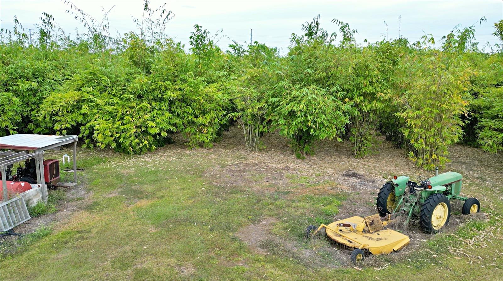 1015 MOUNT PISGAH RD, FORT MEADE, FL, 33841