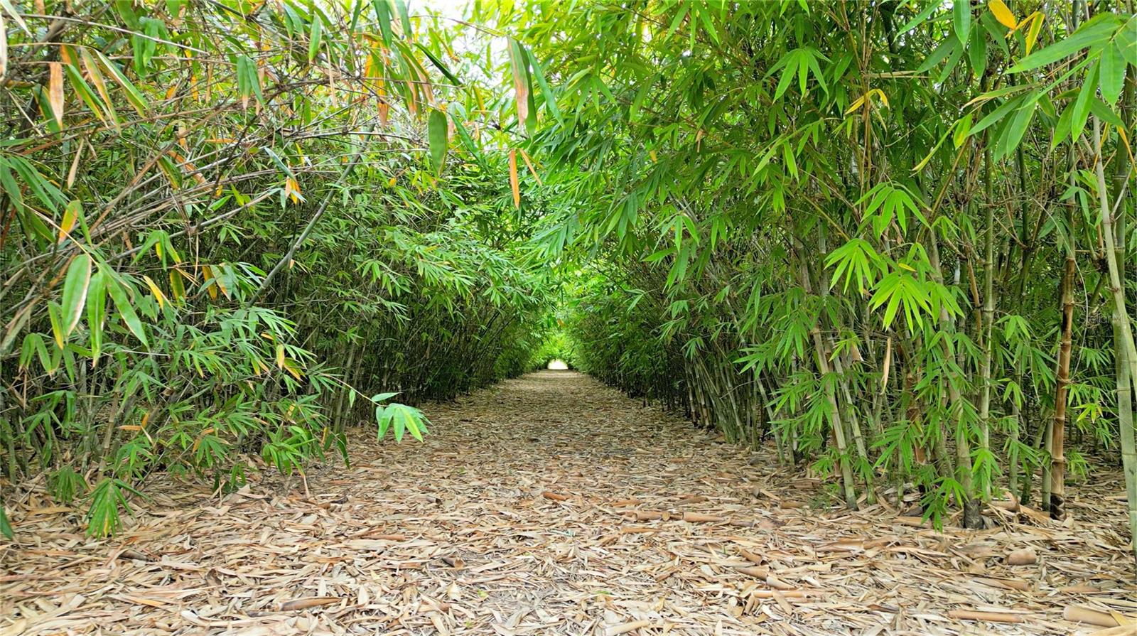 1015 MOUNT PISGAH RD, FORT MEADE, FL, 33841