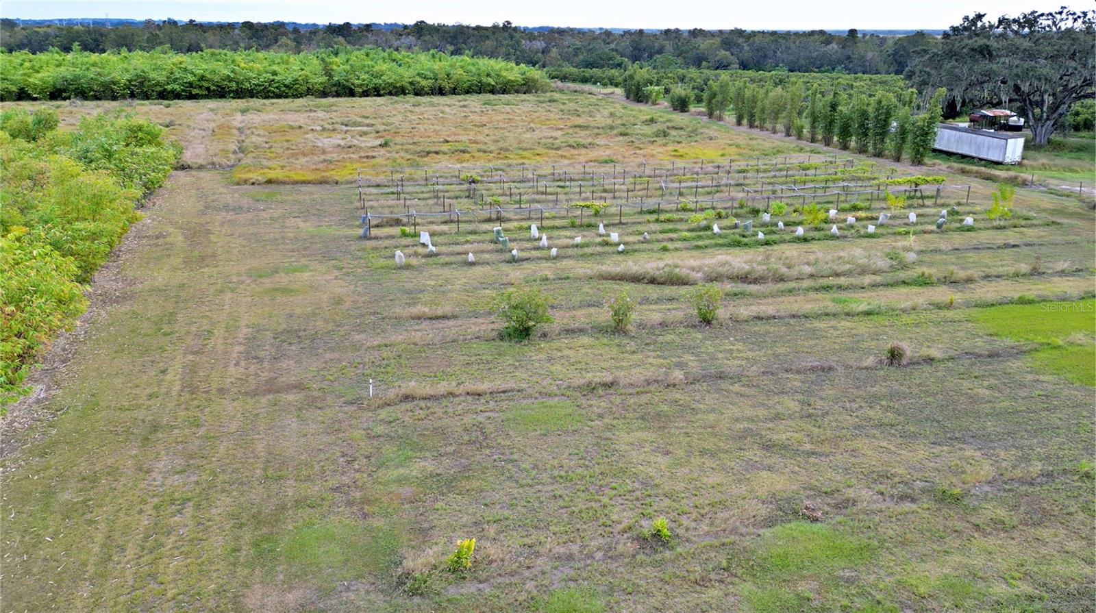 1015 MOUNT PISGAH RD, FORT MEADE, FL, 33841