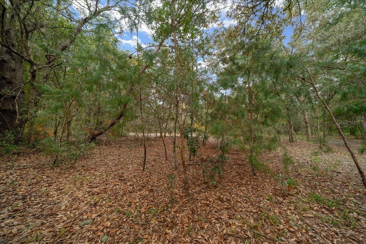 6100 COUNTY ROAD 214, KEYSTONE HEIGHTS, FL, 32656