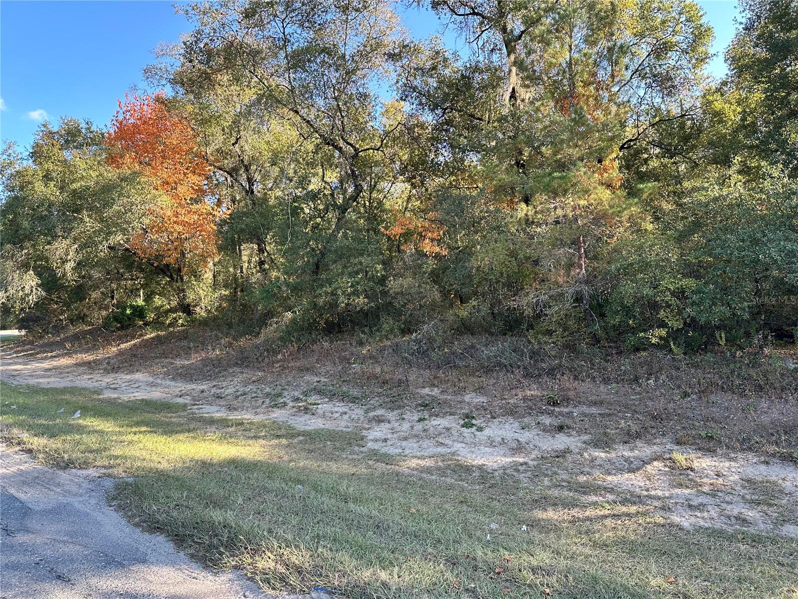 6100 COUNTY ROAD 214, KEYSTONE HEIGHTS, FL, 32656